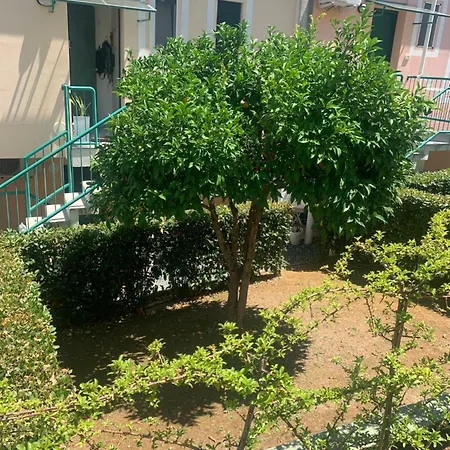 Apartament Vallevo 23